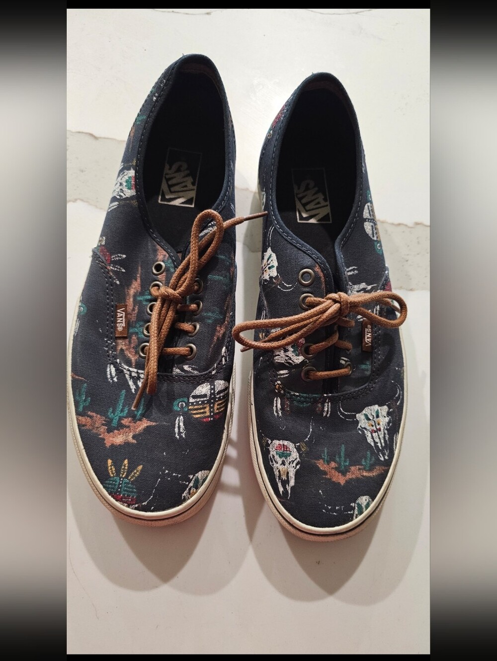Vans Black Canvas Low-Top Sneakers with Brown Laces and Desert Skull Print